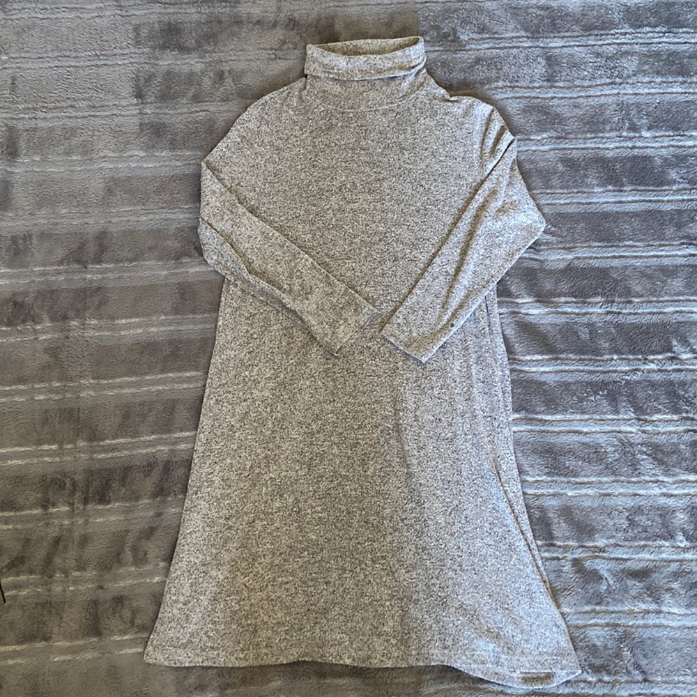 American Eagle Cotton Turtle neck dress